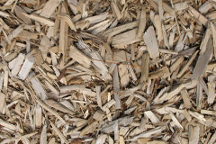 biomass boilers Portobello
