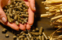 free Portobello biomass boiler quotes